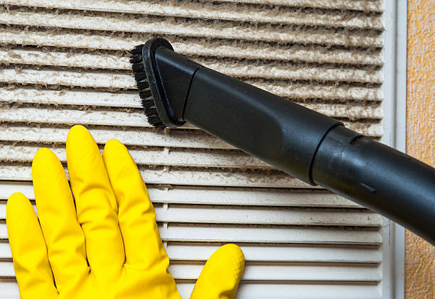 Best Dryer Vent Cleaning Services  in New Eagle, PA