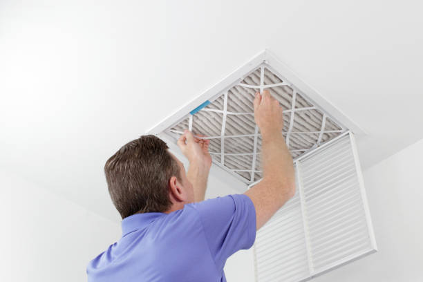 Best HVAC Maintenance and Cleaning  in New Eagle, PA